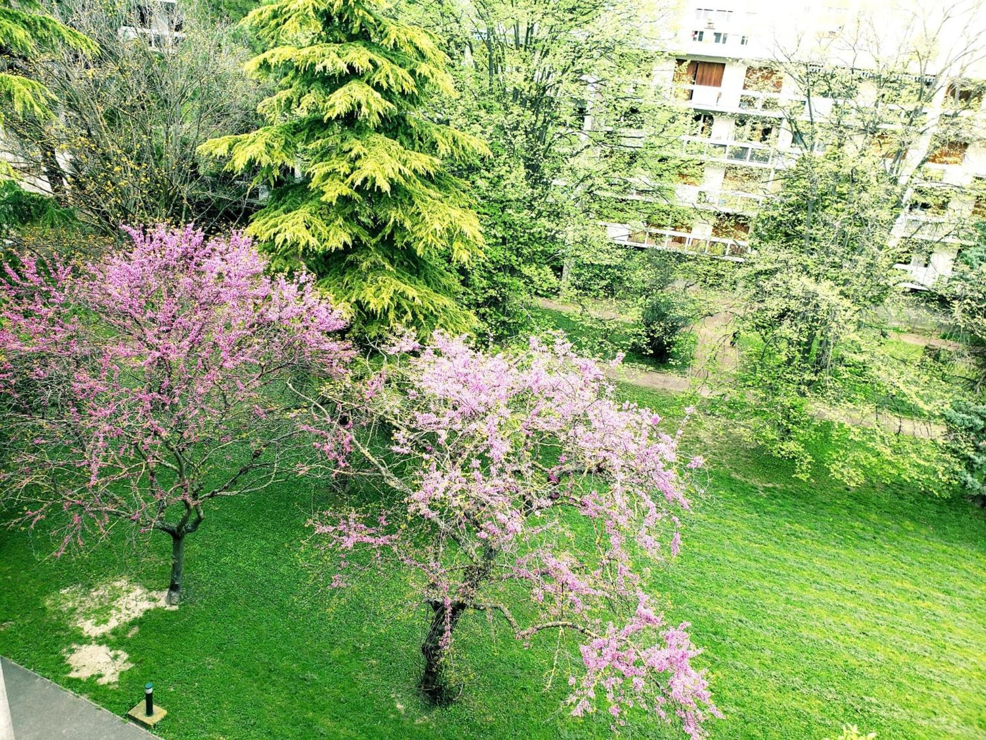 Suite From 1 To 6 - Bathtubs In Rooms - Air Conditioned Residential Appartement - Self-Arrival - Wifi - Netflix Disney - Kitchen - Laundry - Parking Avignon Exteriör bild